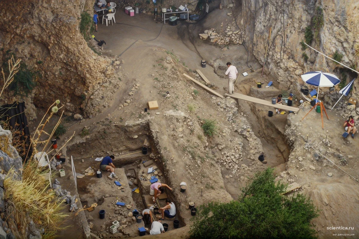 Скелет младенца из пещеры Амуд перевернул представления о росте неандертальцев