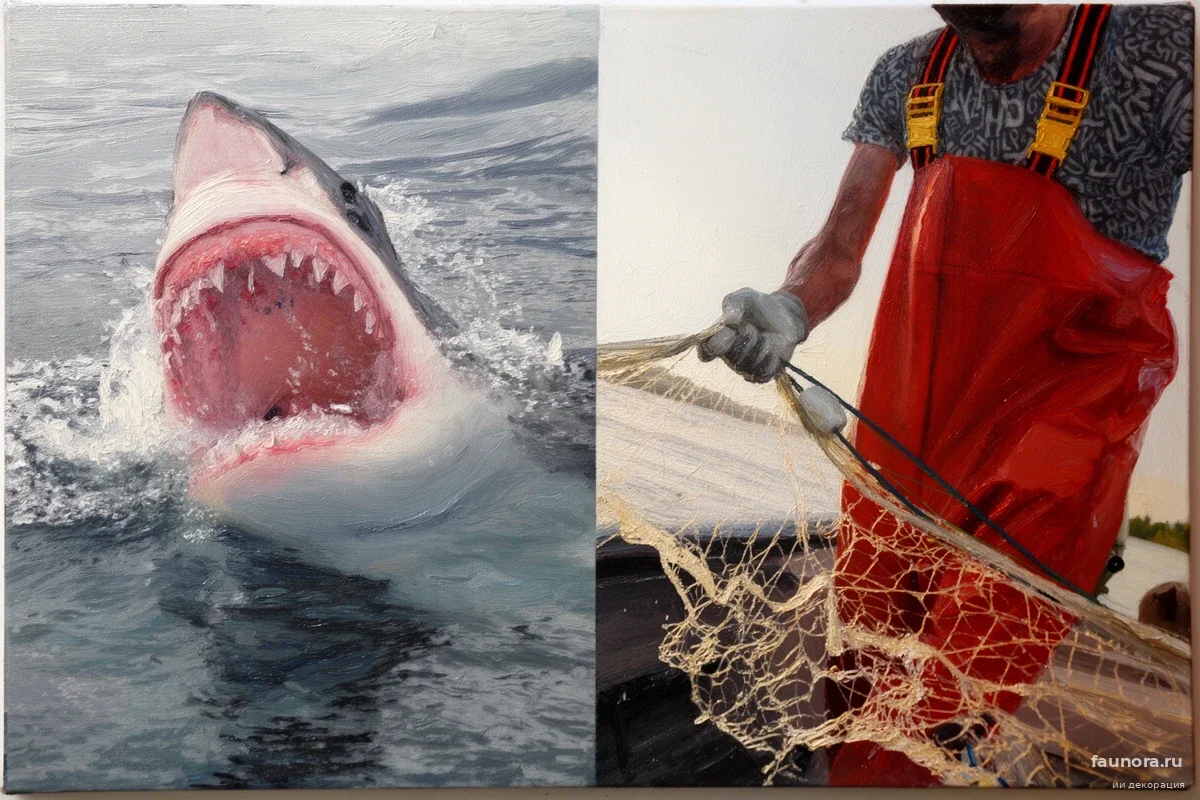 Вместо сетей-убийц: биолог предложил способ защиты от акул с помощью магнитных полей